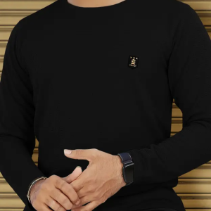 Men Solid Round Neck Polyester Brown T-Shirt